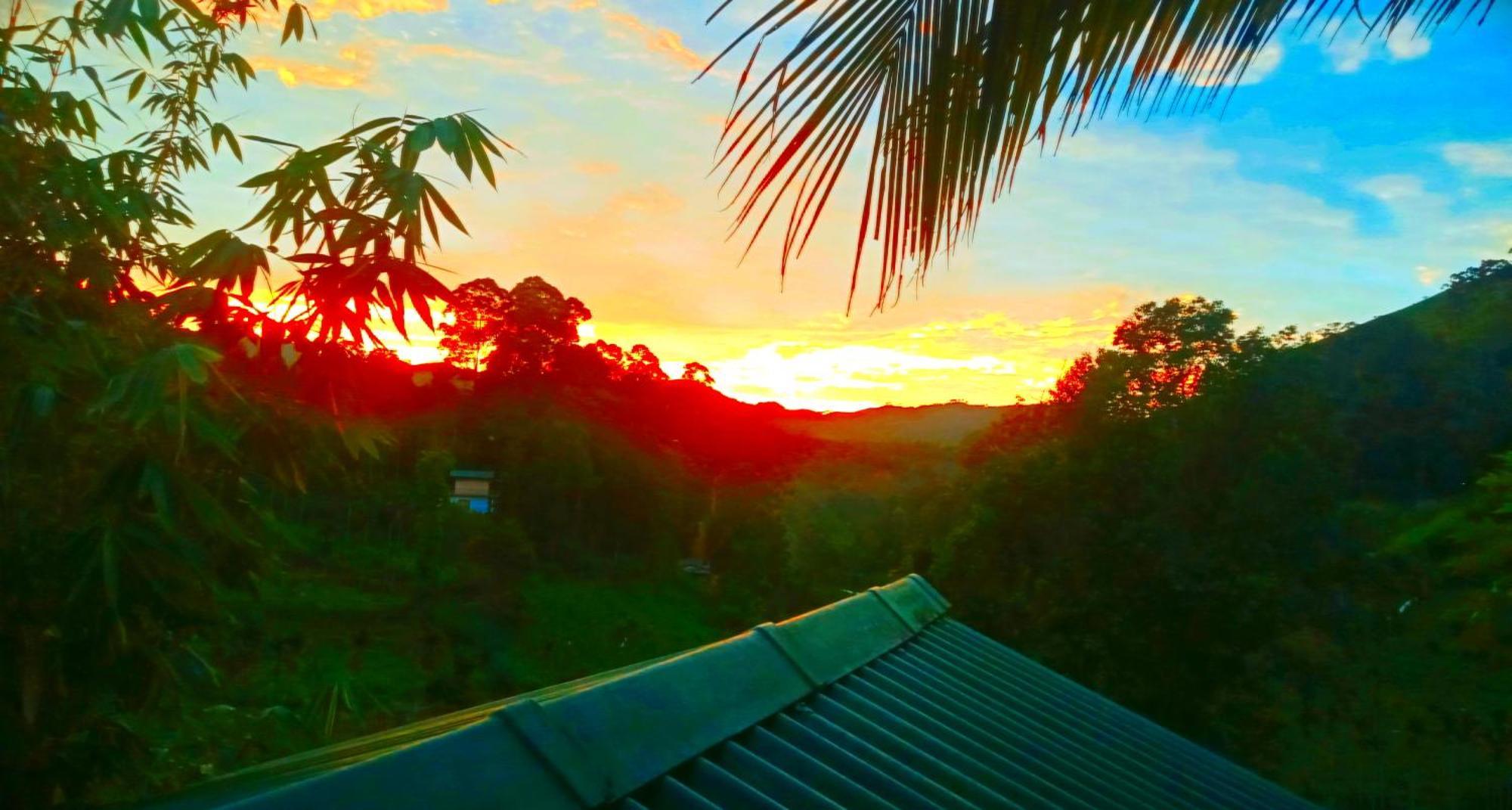 New Farmers Paradise Ella Rum bild