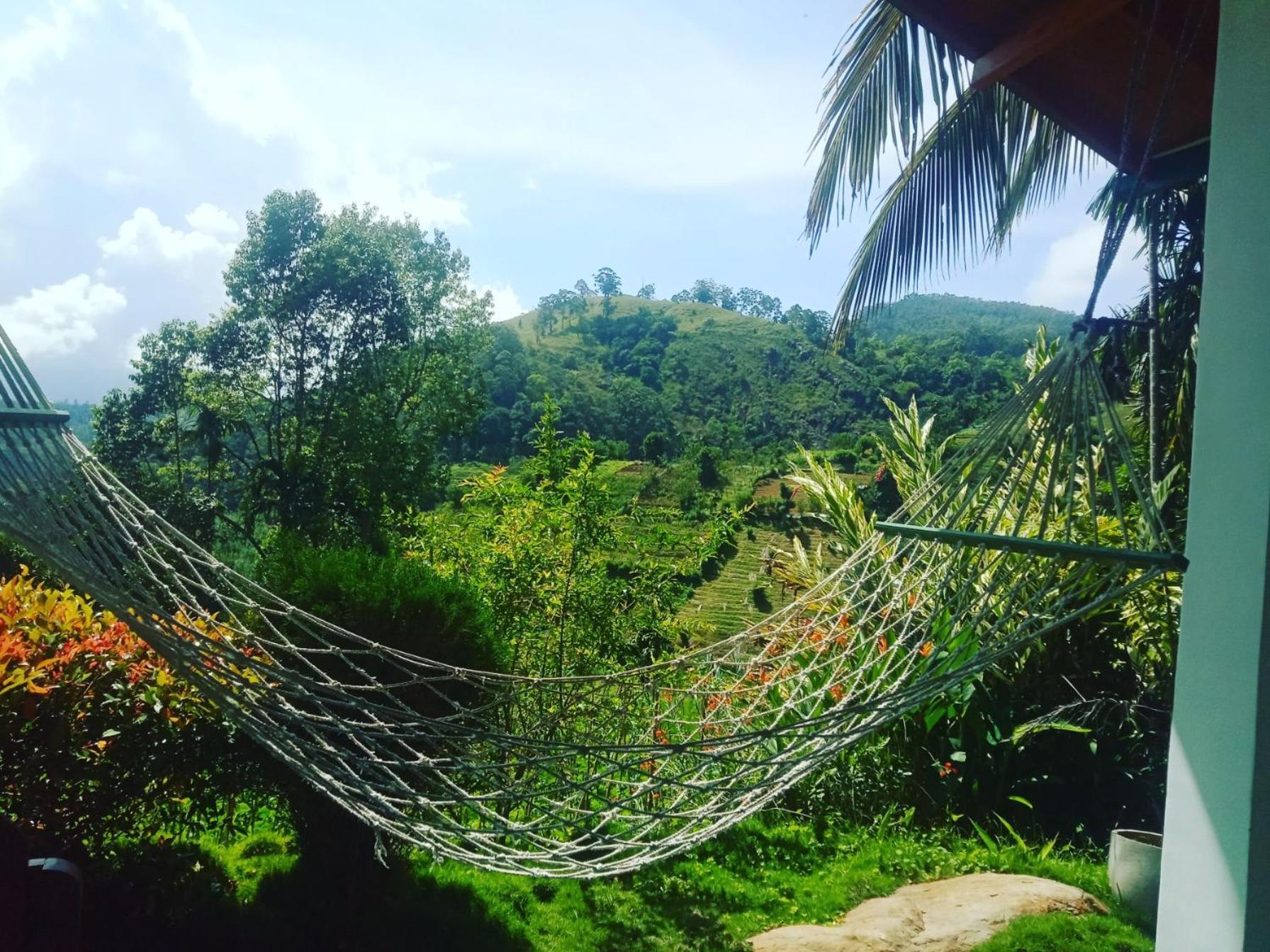 New Farmers Paradise Ella Rum bild